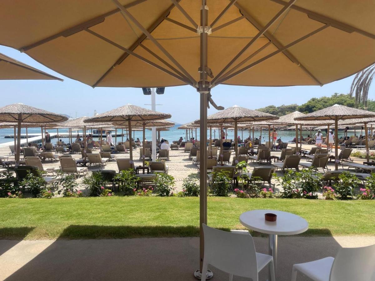 Eagles Nest Villa Athenian Riviera In Aghia Marina Near Lagonisi, Next To The Beach Close To Athens Airport Agia Marina  Екстериор снимка