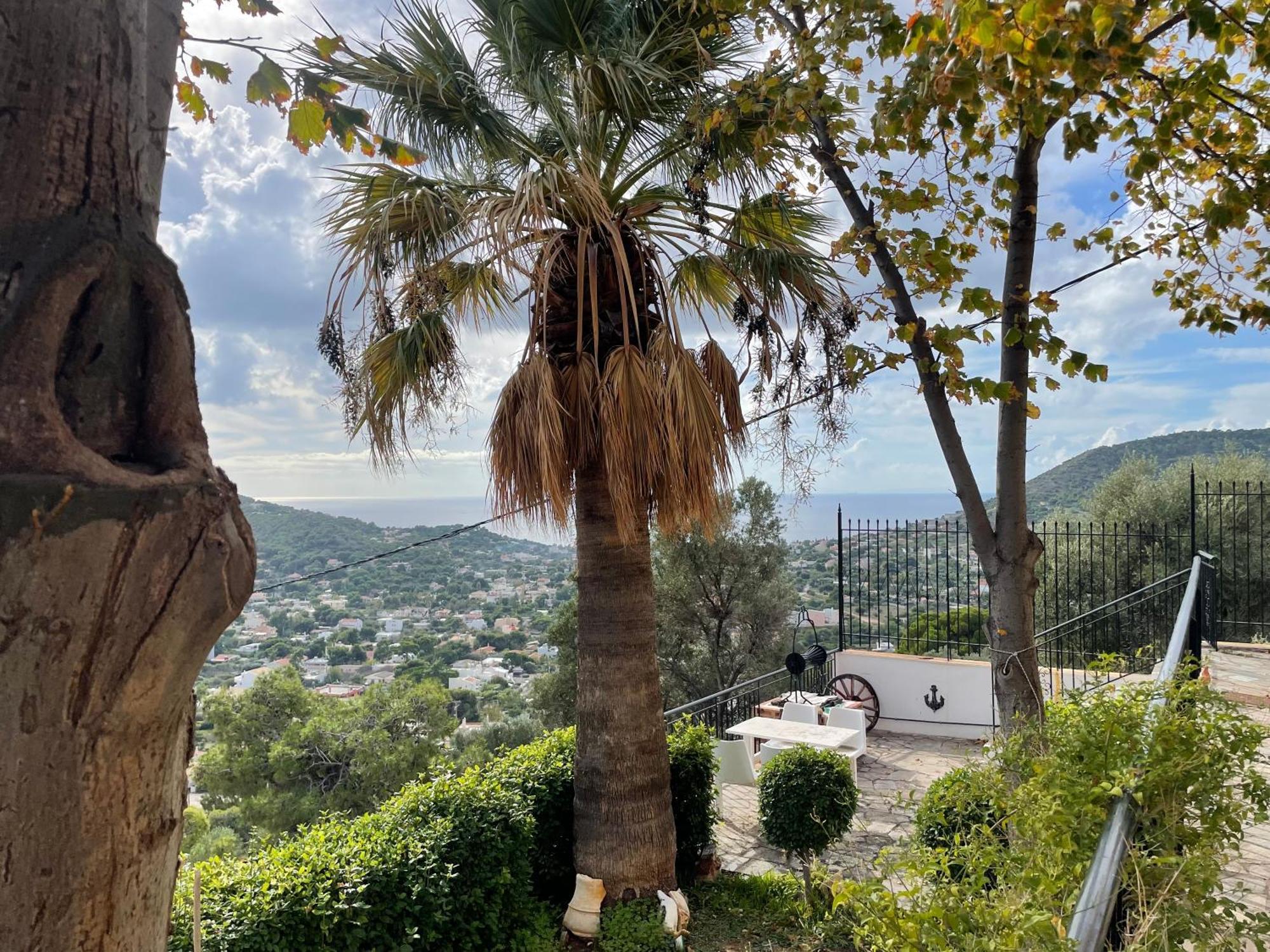 Eagles Nest Villa Athenian Riviera In Aghia Marina Near Lagonisi, Next To The Beach Close To Athens Airport Agia Marina  Екстериор снимка